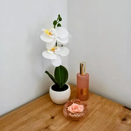Duje Apartmán Medulin